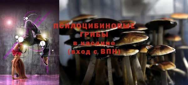 гашик Ступино