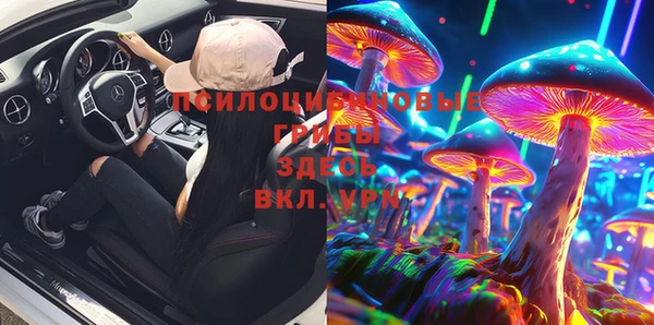 гашик Ступино