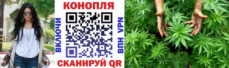 Бошки Шишки SATIVA & INDICA  omg сайт  Чекалин 